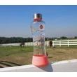 EQUA Esprit üvegkulacs - barackfa (550 ml)