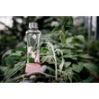 EQUA Urban Jungle üvegkulacs - magnolia (550 ml)
