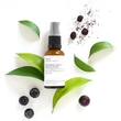 Evolve Beauty Rainforest Rescue szérum problémás bőrre (30 ml)