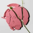MÁDARA MAGNETIC BLUSH Ásványi pirosító - Cold cheeks (6 g)