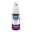 Taoasis Szobaillatosító spray mini - Jó alvást! (10 ml)