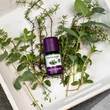 Taoasis Bio Illatkompozíció "Megfázás - enyhe" (5 ml)