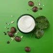 Weleda Skin Food tápláló éjszakai arckrém száraz bőrre (40 ml)