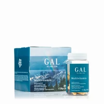 GAL Multivitamin (1 db)