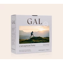 GAL Biocurcumin kapszula (60 db)