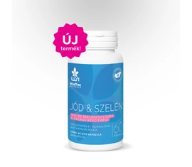 Hormonrendszer