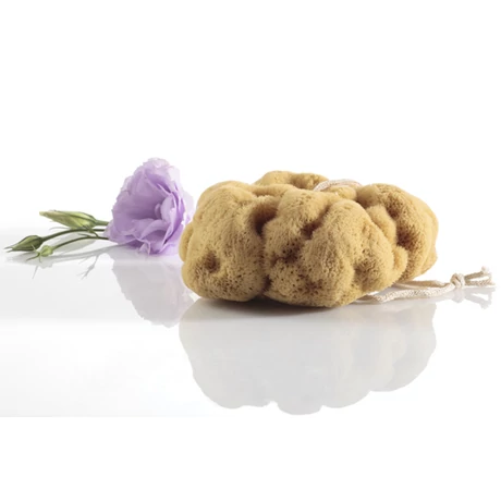 Manna Honeycomb természetes tengeri szivacs