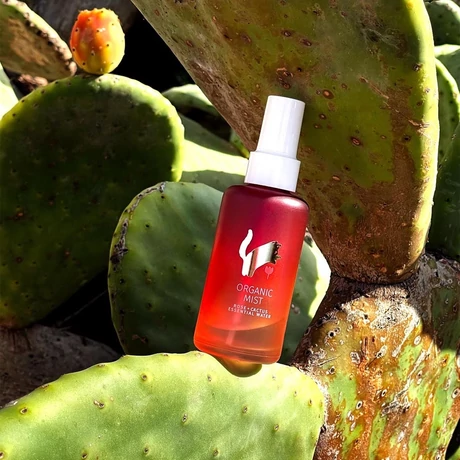 YOPE Organic Mist arcpermet (100 ml)